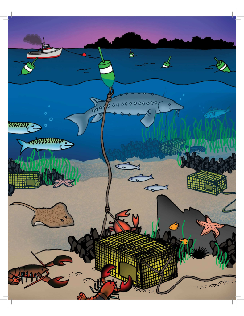 A picture of a lobster boat and lobster trap buoys floating above a sea full of creatures. Lobster traps strewn on the ocean floor.